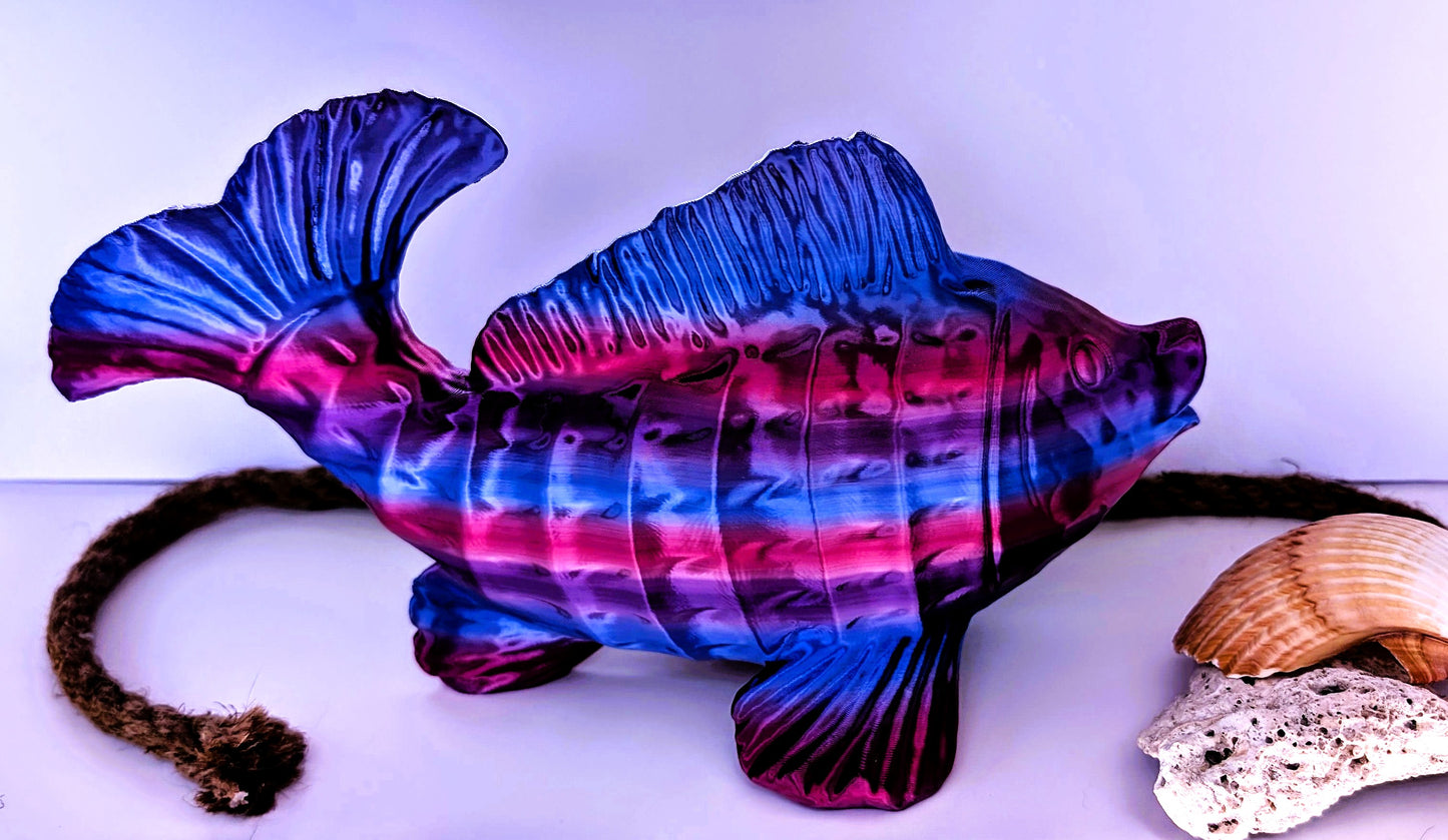 Rainbow Fish