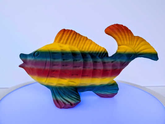 Rainbow Fish